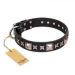 'Space Walk' FDT Artisan Pitbull Black Leather Dog Collar with Adornments for Daily Use