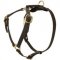 Luxury Leather Tracking/Walking Harness For Pitbull