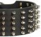 3 inch Spiked Leather Dog Collar for Pitbull