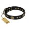 "High Fashion" FDT Artisan Studded with Plates Black Leather Pitbull Collar