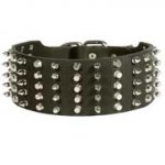 Strong Adjustable Spiked and Studded Leather Pitbull Collar for Walking