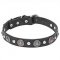 "Shiny Charm" 1 1/5 inch (30 mm) wide Pit Bull Dog Collar with Chrome Conchos and Half-Ball Studs