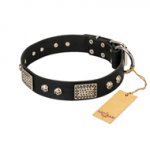 "Pirates Gold" FDT Artisan Black Leather Pitbull Collar with Old Silver Look Plates and Skulls
