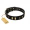 "De Luxe" FDT Artisan Black Leather Pitbull Collar with Old Bronze-like Plates and Studs