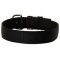 Durable Wide Nylon Pitbull Collar for Daily Walking and Traning