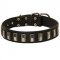 Classy Leather Pitbull Collar with Vertical Nickel Plates