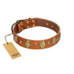 "Venus Breath" FDT Artisan Tan Leather Pitbull Collar with Vintage Looking Oval and Round Studs