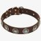 Designer Leather Pitbull Collar with Precious Conchos