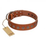 "Lucky Star" Handmade FDT Artisan Designer Tan Leather Pitbull Collar with Round Plates