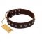 "Boundless Energy" Premium Quality FDT Artisan Brown Designer Leather Pitbull Collar with Small Pyramids