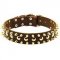 3 Rows Leather Pitbull Collar with Nickel Studs and Brass Spikes