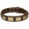 Designer Leather Pitbull Collar with Vintage Plates