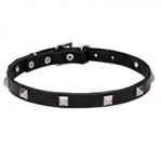 'A La Mode' 3/4 Inch (20 mm) Pit Bull Leather Dog Collar with Pyramids