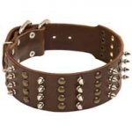 2 inch wide Spiked and Studded Pitbull Collar