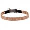 'Master' Neck Tech Dog Prong Collar for Pit Bull