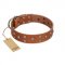 "Enchanted Skulls" FDT Artisan Tan Leather Pitbull Collar with Chrome Plated Skulls