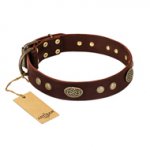"Old-fashioned Glamor" FDT Artisan Brown Leather Pitbull Collar with Old Bronze Look Plates and Circles