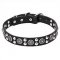 "Galactic Style" Pit Bull Dog Collar Decorated - 1 1/4 inch (30 mm) wide