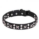 "Planets and Stars" Pit Bull Dog Collar 1 1/5 inch (30 mm) Wide