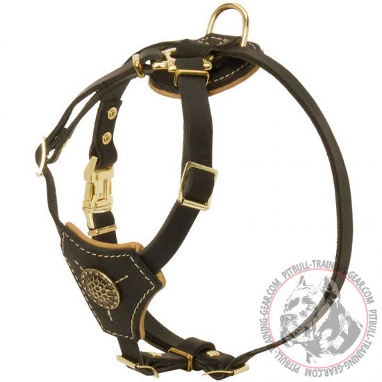 pitbull leather harness