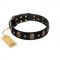 Pirate's Spell' FDT Artisan Black Leather Pitbull Collar with Engraved Studs and Medallions