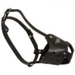 No Bark Leather Pit Bull Muzzle with Good Air Flow