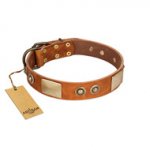 "Perfect Blend" FDT Artisan Tan Leather Pitbull Collar 1 1/2 inch (40 mm) wide