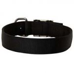 Durable Wide Nylon Pitbull Collar for Daily Walking and Traning