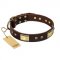 "Rich Fashion" FDT Artisan Decorated Leather Pitbull Collar with Plates and Studs
