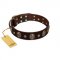 "Breaking the Horizon" FDT Artisan Brown Leather Pitbull Collar with Engraved Studs and Medallions