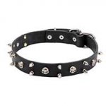'Jolly Roger' Leather Pitbull Collar with Skulls and Two Rows of Spikes - 1 1/10 inch (30 mm) wide