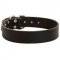 Classic Wide Leather Dog Collar for Pit Bull
