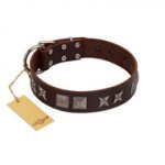 "Needle Stories" Modern FDT Artisan Brown Leather Pitbull Collar with Square Engraved Plates and Four-Point Stars