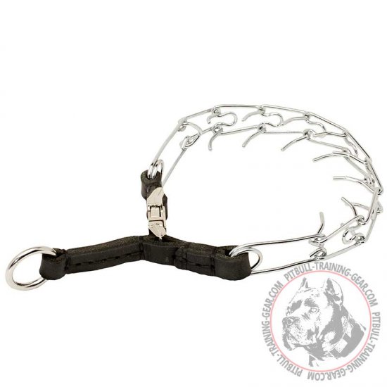 leather pinch collar