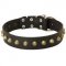 Wide Leather Pitbull Collar with Exclusive Decoration