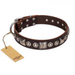 "Pierian spring" FDT Artisan Brown Leather Pitbull Collar with Silvery Decorations