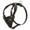 Strong Leather Pitbull Harness for Attack/Agitation Training