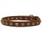 Designer Leather Pitbull Collar with Fancy Brass Studs