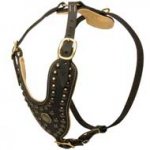 Fashion Padded Leather Dog Harness for Pitbull