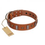 "Golden Crossbones" Handmade FDT Artisan Tan Leather Pitbull Collar with Plates and Skulls