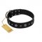 "Mr. Elegance" Designer FDT Artisan Black Leather Pitbull Collar with Silver-Like Studs