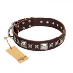 "Perfect Impression" FDT Artisan Brown Leather Pitbull Collar with Square Studs - 1 1/2 inch (40 mm) Wide