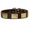 Fashion Leather Dog Collar for Pitbull with Large Brass Plates