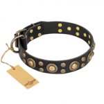 'Baroque Chic' FDT Artisan Studded Black Leather Pitbull Dog Collar
