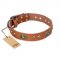 "Stunning Dress" FDT Artisan Tan Leather Pitbull Collar with Old Bronze Look Plates and Studs