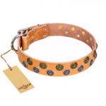 "Precious Sparkle" FDT Artisan Studded Leather Pitbull Collar - 1 1/2 inch (40 mm) wide