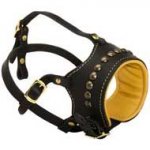 No Bark Leather Pitbull Muzzle with Row of Look Rusted Studs
