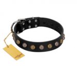 "Inky Prettification" FDT Artisan Black Leather Pitbull Collar with One Row of Studs