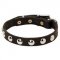 Everyday Walking Leather Pitbull Collar with Nickel Studs