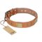 "The Middle Ages" FDT Artisan Handcrafted Tan Leather Pitbull Collar